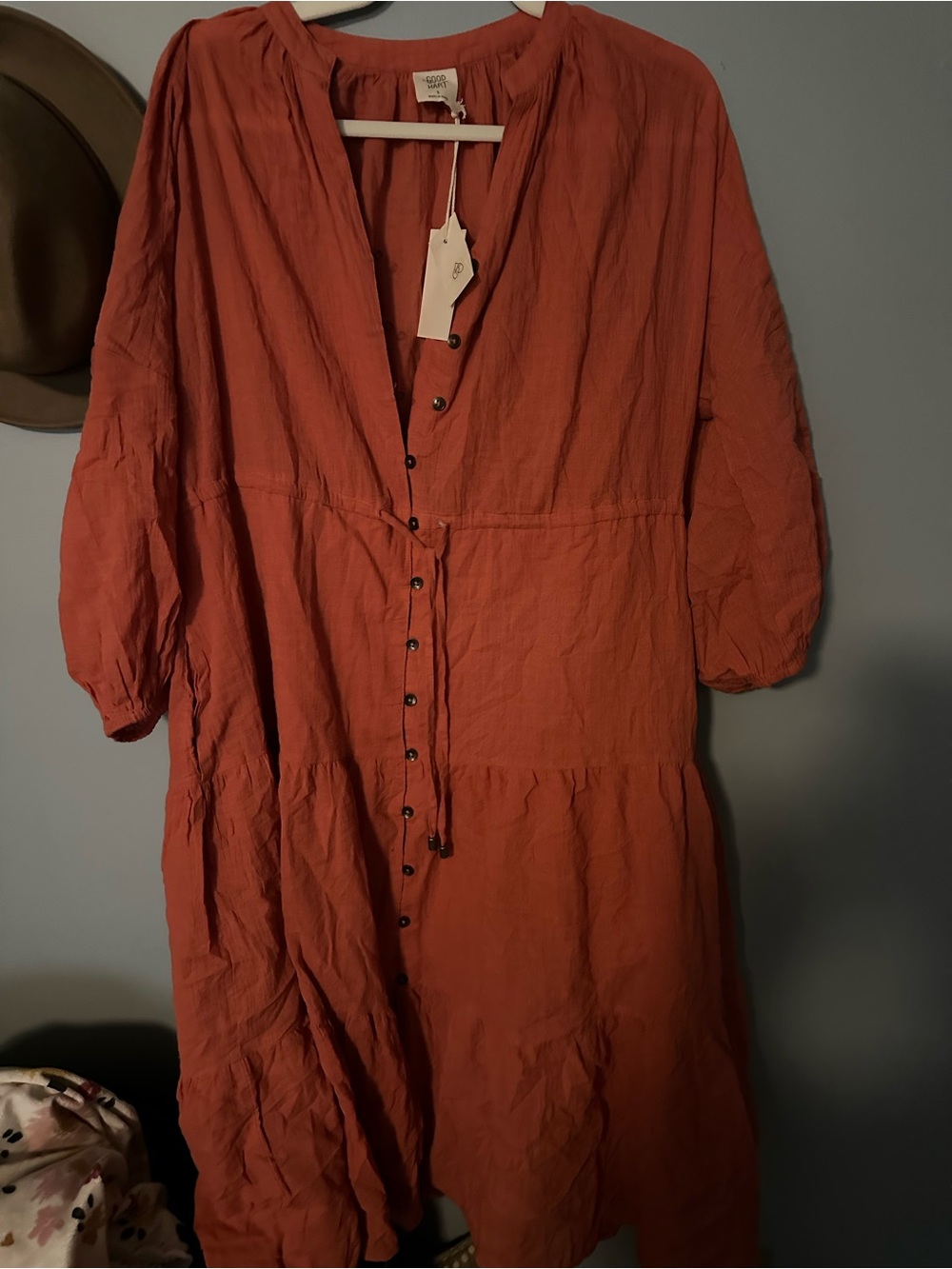 Rust Button-Front Midi Dress with Tie Waist